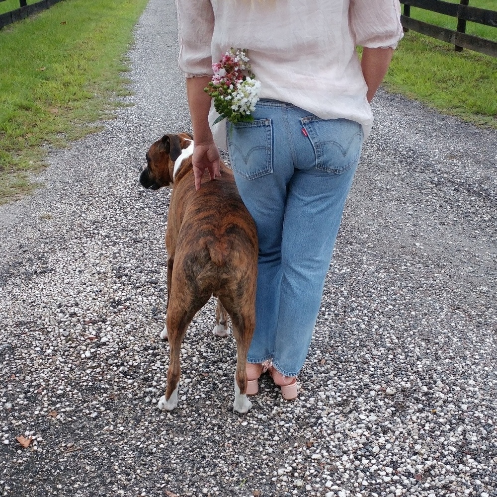 Meet your Posher, Anne